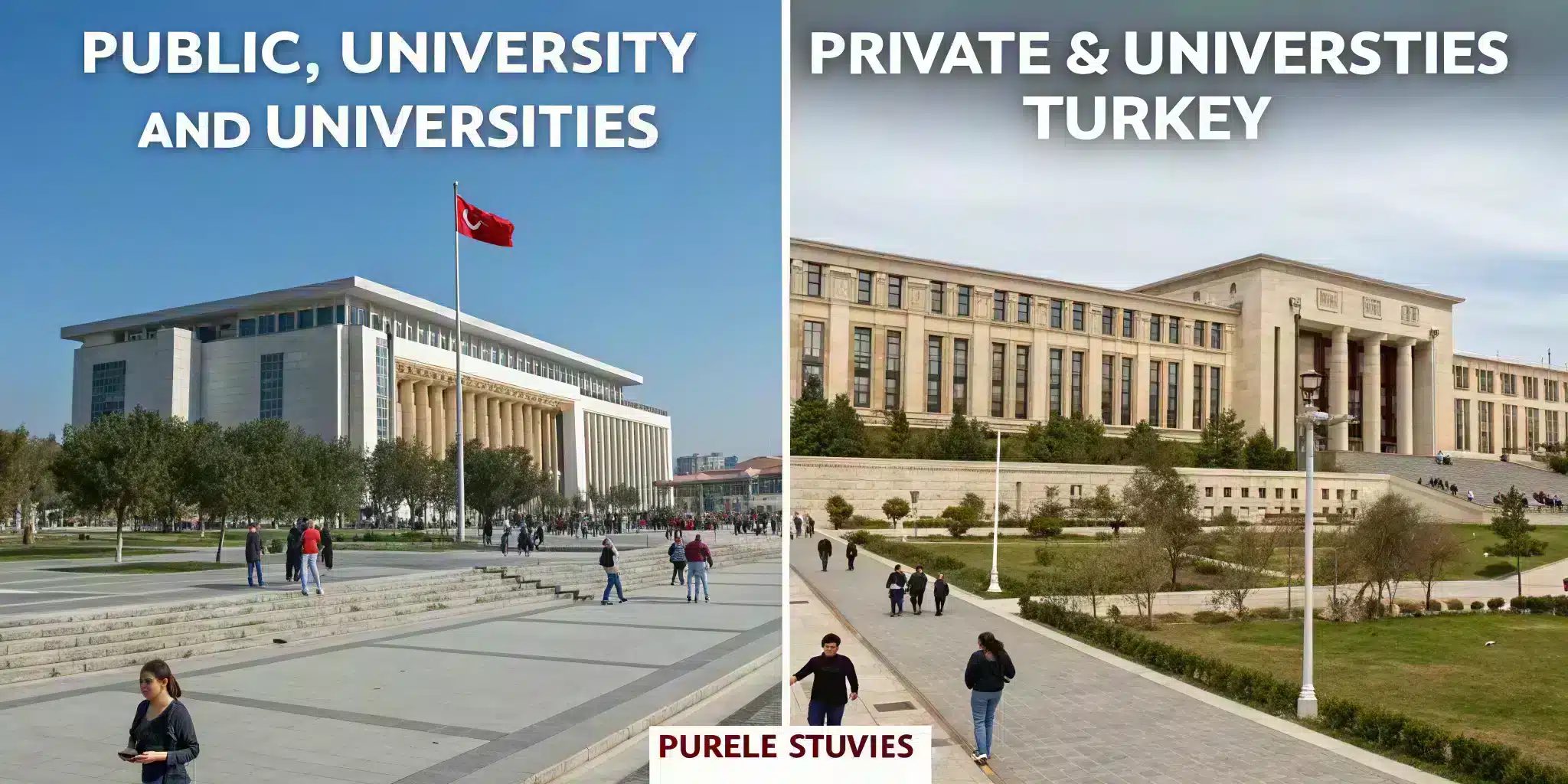 Public vs. Private Universities in Turkiye: Pros & Cons