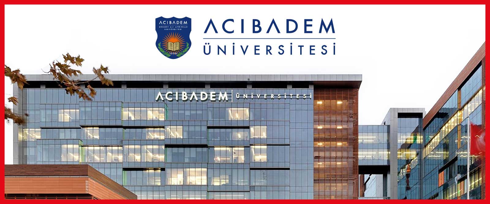 Bachelor Of Physiotherapy And Rehabilitation (Turkish)