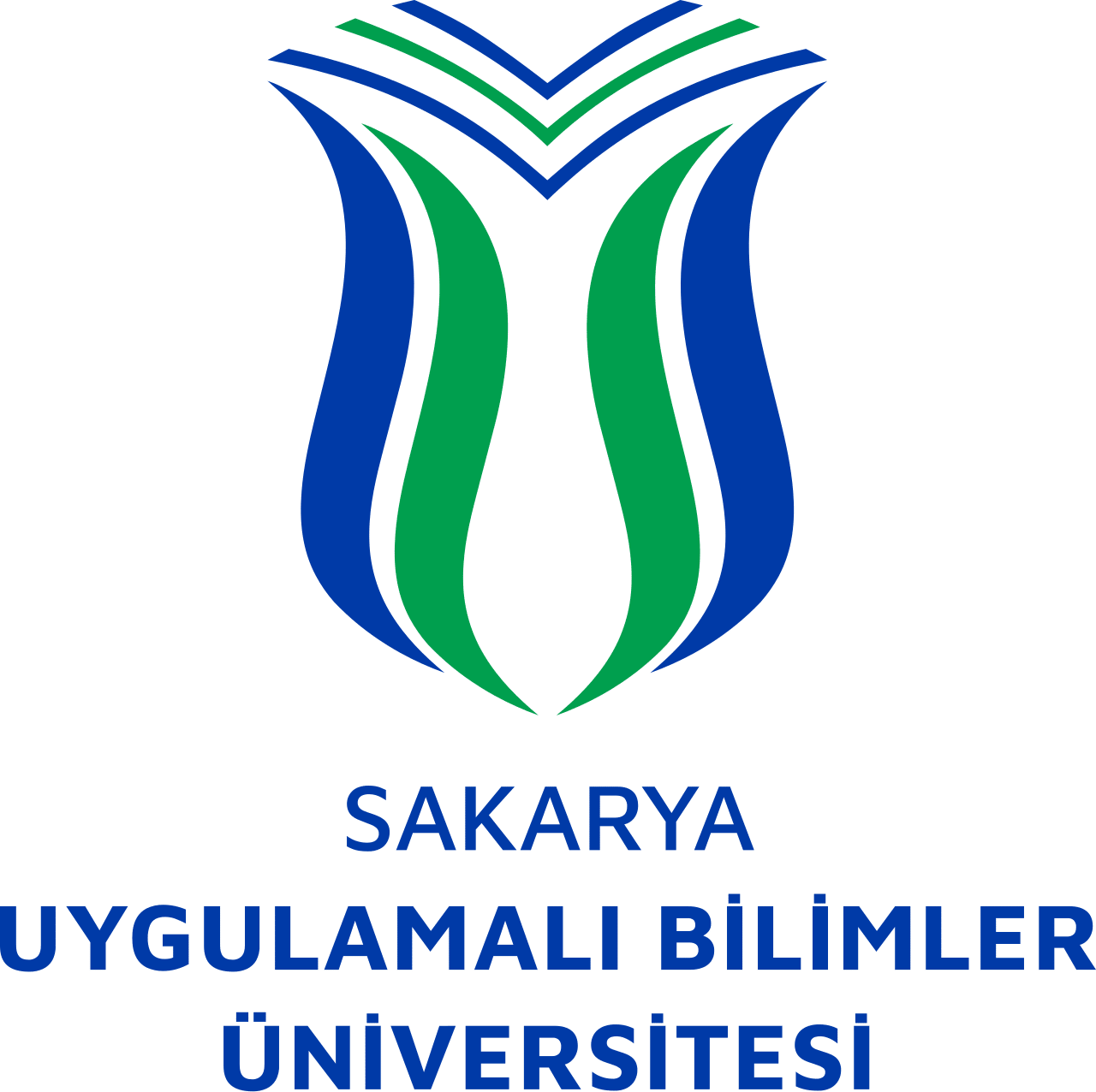 Bachelor Of Physiotherapy And Rehabilitation (Turkish)