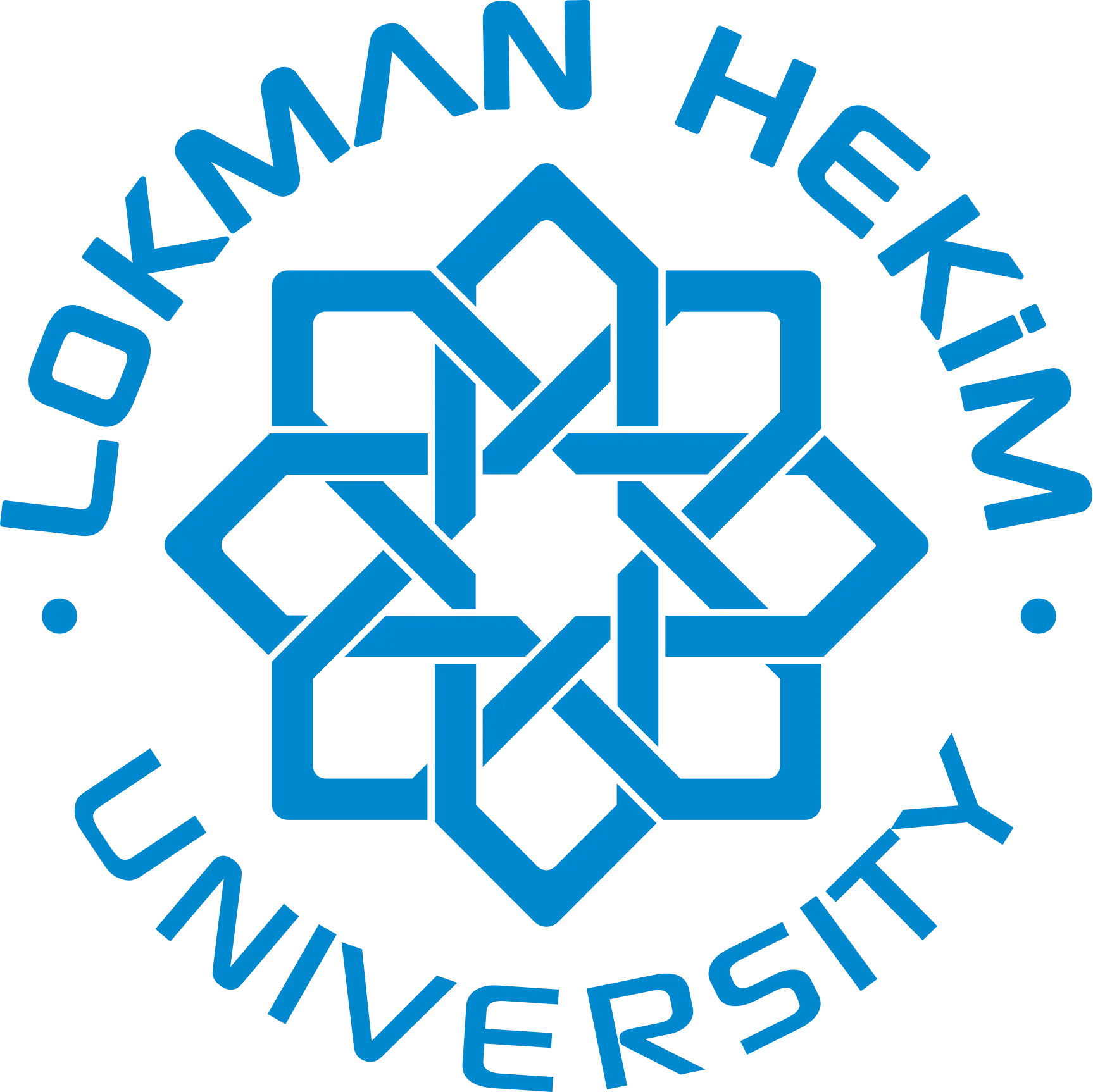 Bachelor Of Physiotherapy And Rehabilitation (Turkish)